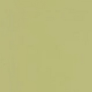Фисташковый 765